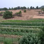 Az Rocca Corneta Appartamento *