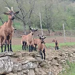 Az Rocca Corneta Appartamento *